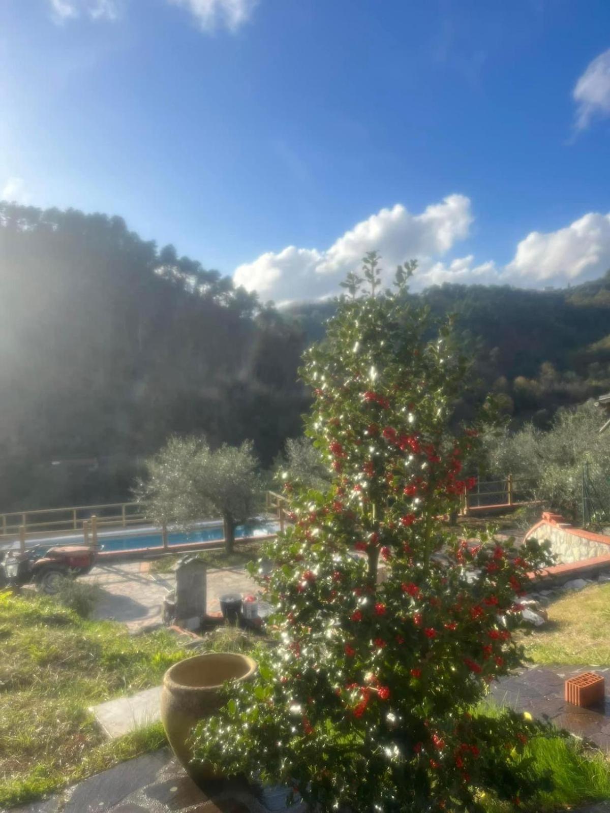 Podere Il Glicine Wellness Charme & Relax Fresonara  Eksteriør bilde